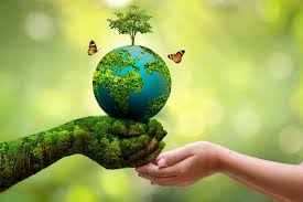 Sustainability & Safety Solutions